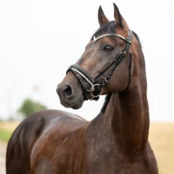 Horze Grayson Anatomische Trense 25 Horze Grayson Anatomische Trense -Reitsportbedarf 10084 BL 1