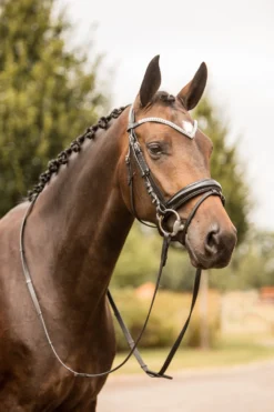 Horze Grayson Anatomische Trense 20 Horze Grayson Anatomische Trense -Reitsportbedarf 10084 BL BL 4