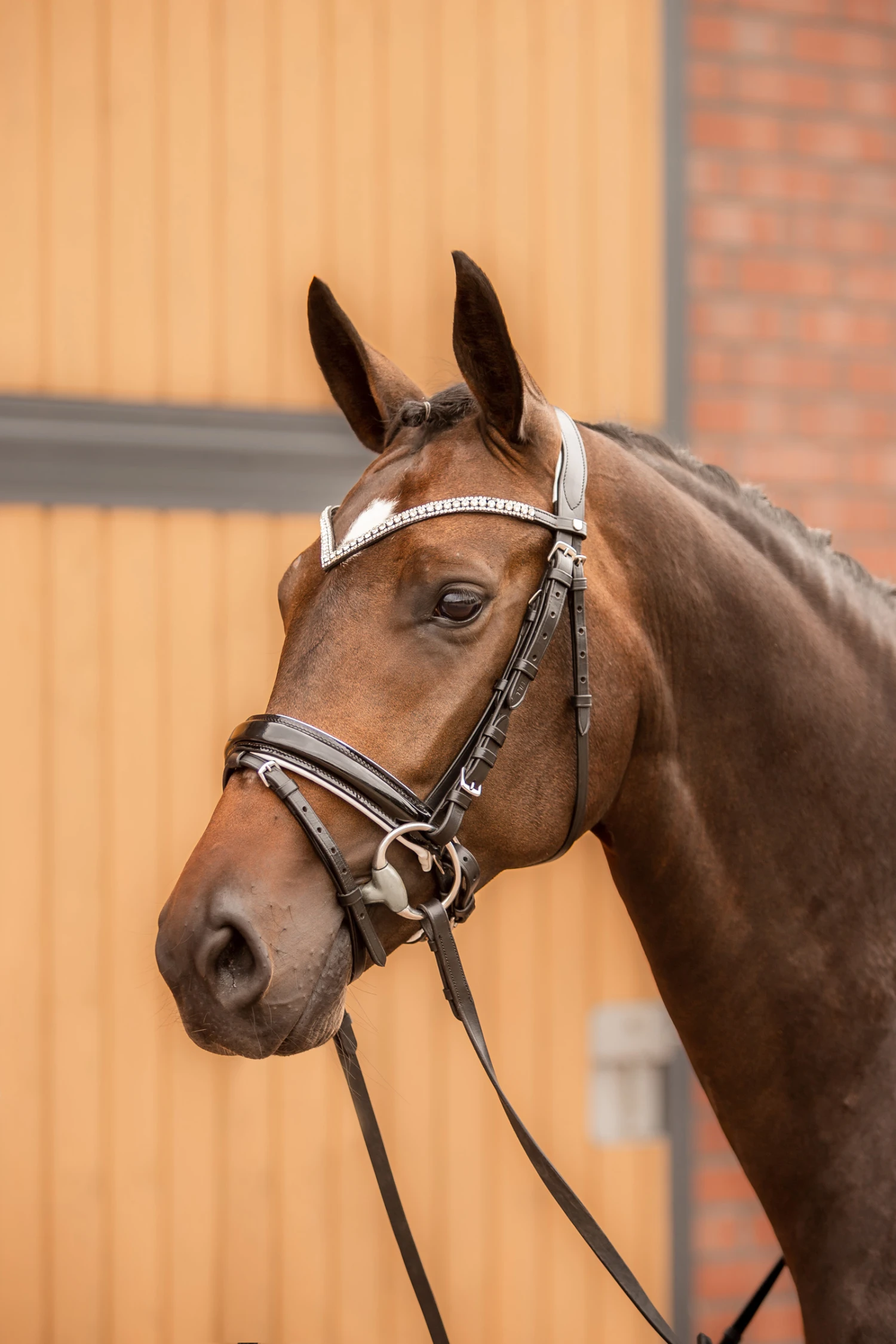 Horze Grayson Anatomische Trense 8 Horze Grayson Anatomische Trense – Bild 8