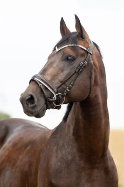 Horze Grayson Anatomische Trense 31 Horze Grayson Anatomische Trense -Reitsportbedarf 10084 DBR 1