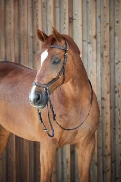 Horze Orlando Anatomische Kombinierte Gebisslose Trense -Reitsportbedarf 10125 BR 5