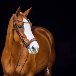 Horze Positano Anatomische Hannoveranische Trense 13 Horze Positano Anatomische Hannoveranische Trense -Reitsportbedarf 10126 BR 2