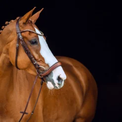 Horze Positano Anatomische Hannoveranische Trense 14 Horze Positano Anatomische Hannoveranische Trense -Reitsportbedarf 10126 BR 3