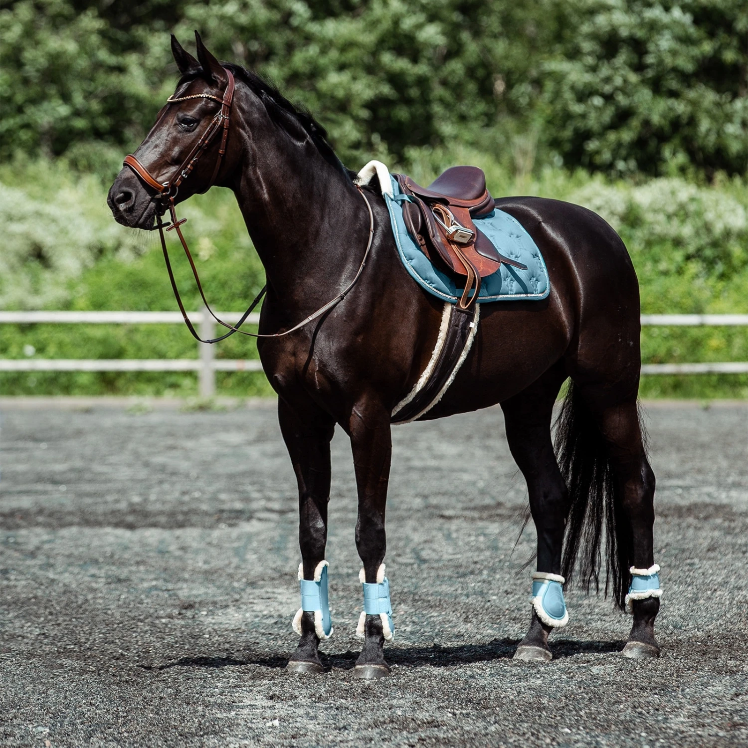 Horze Positano Anatomische Hannoveranische Trense 8 Horze Positano Anatomische Hannoveranische Trense – Bild 8