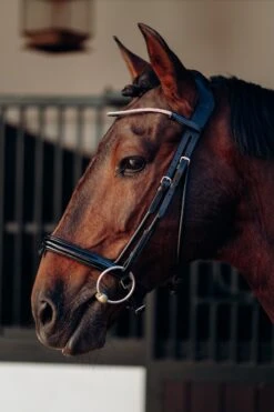 Horze Munich Stirnriemen Mit Strasssteinen 11 Horze Munich Stirnriemen Mit Strasssteinen -Reitsportbedarf 10162 rtpi 02