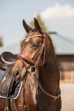 Horze Columbia Stirnriemen Mit Kristallen -Reitsportbedarf 10169 BR GO 4