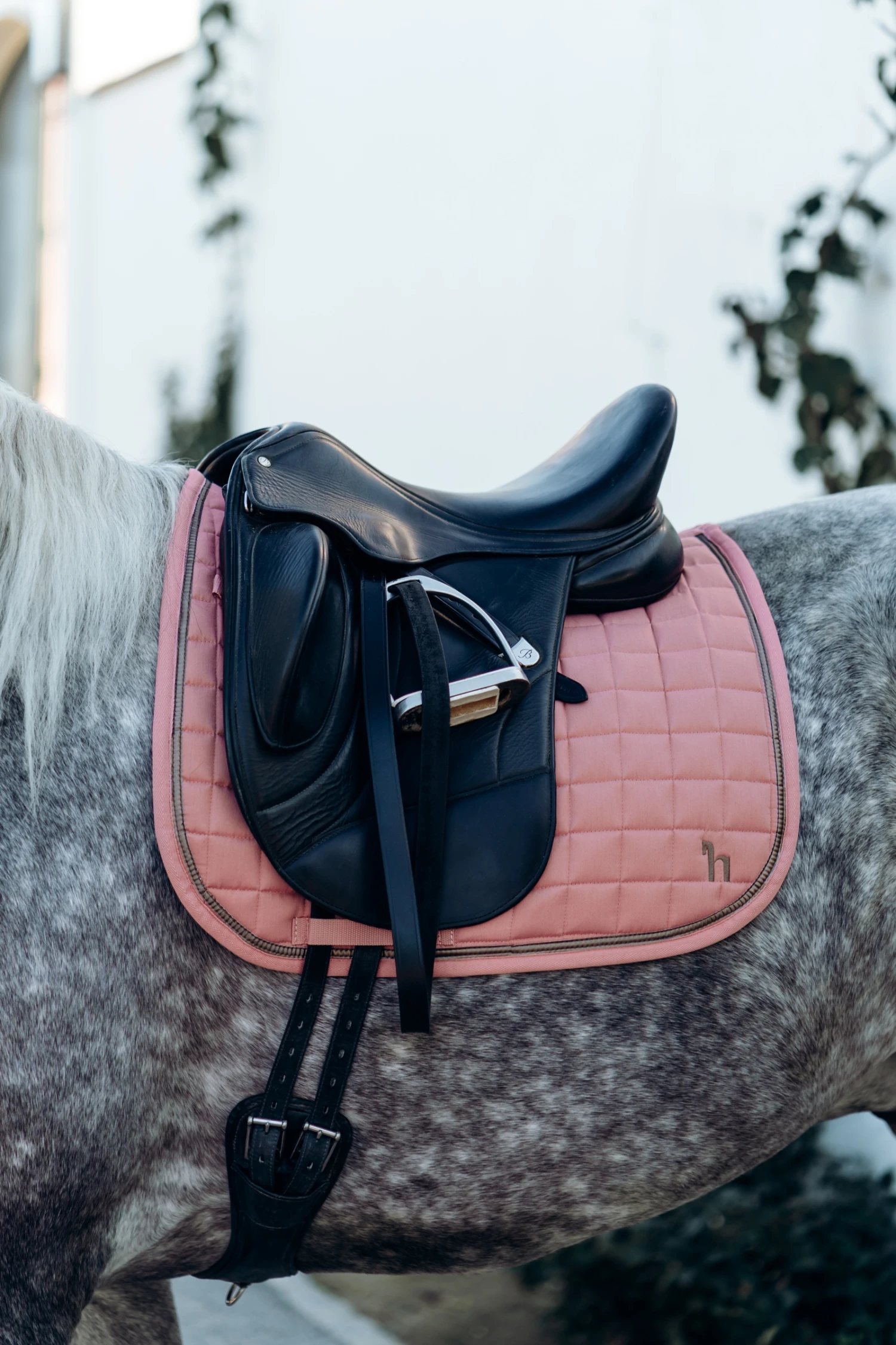 Horze Munich Dressurschabracke Mit Metall-Detail 15 Horze Munich Dressurschabracke Mit Metall-Detail – Bild 15