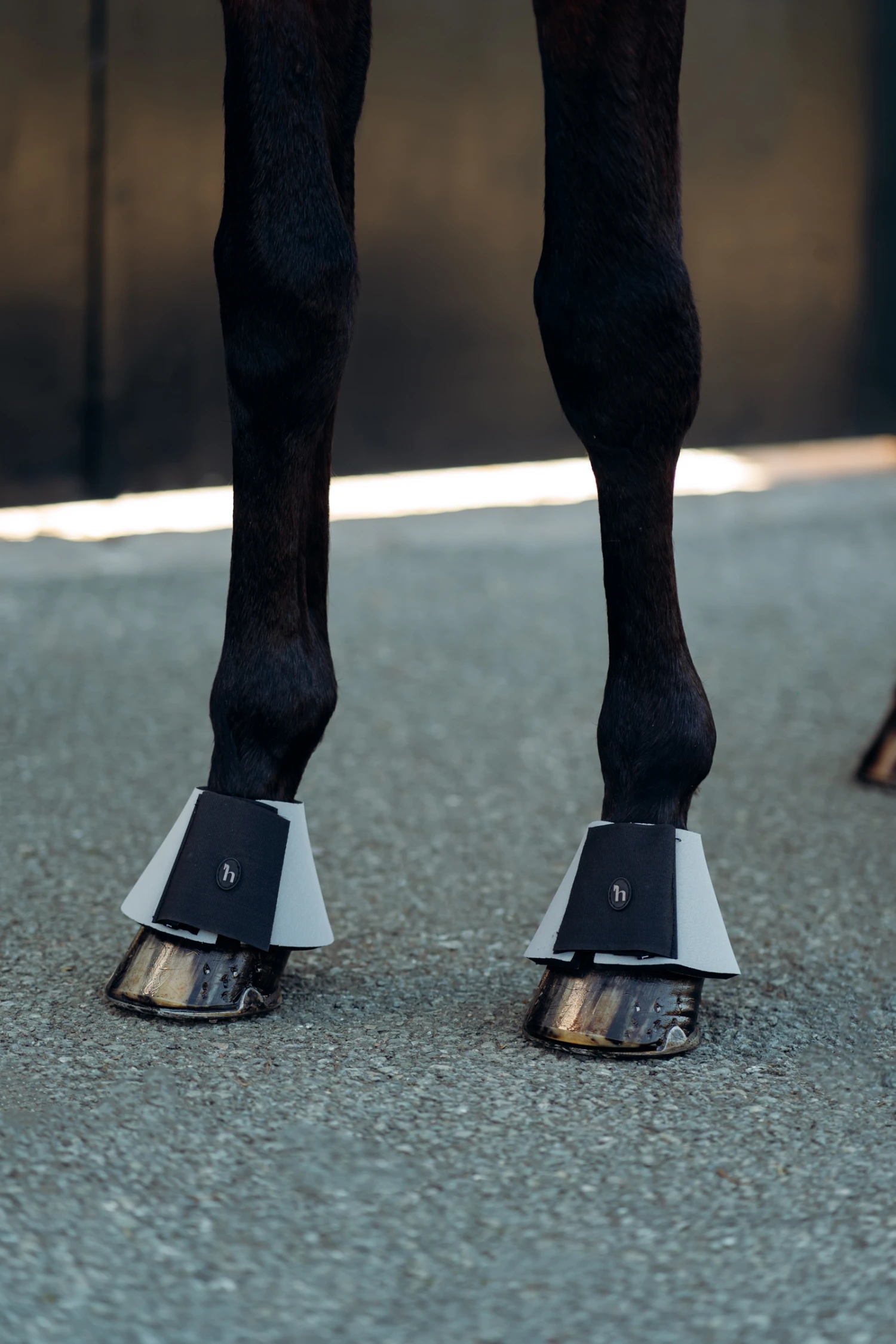 Horze Munich Hufglocken 2 Horze Munich Hufglocken – Bild 2