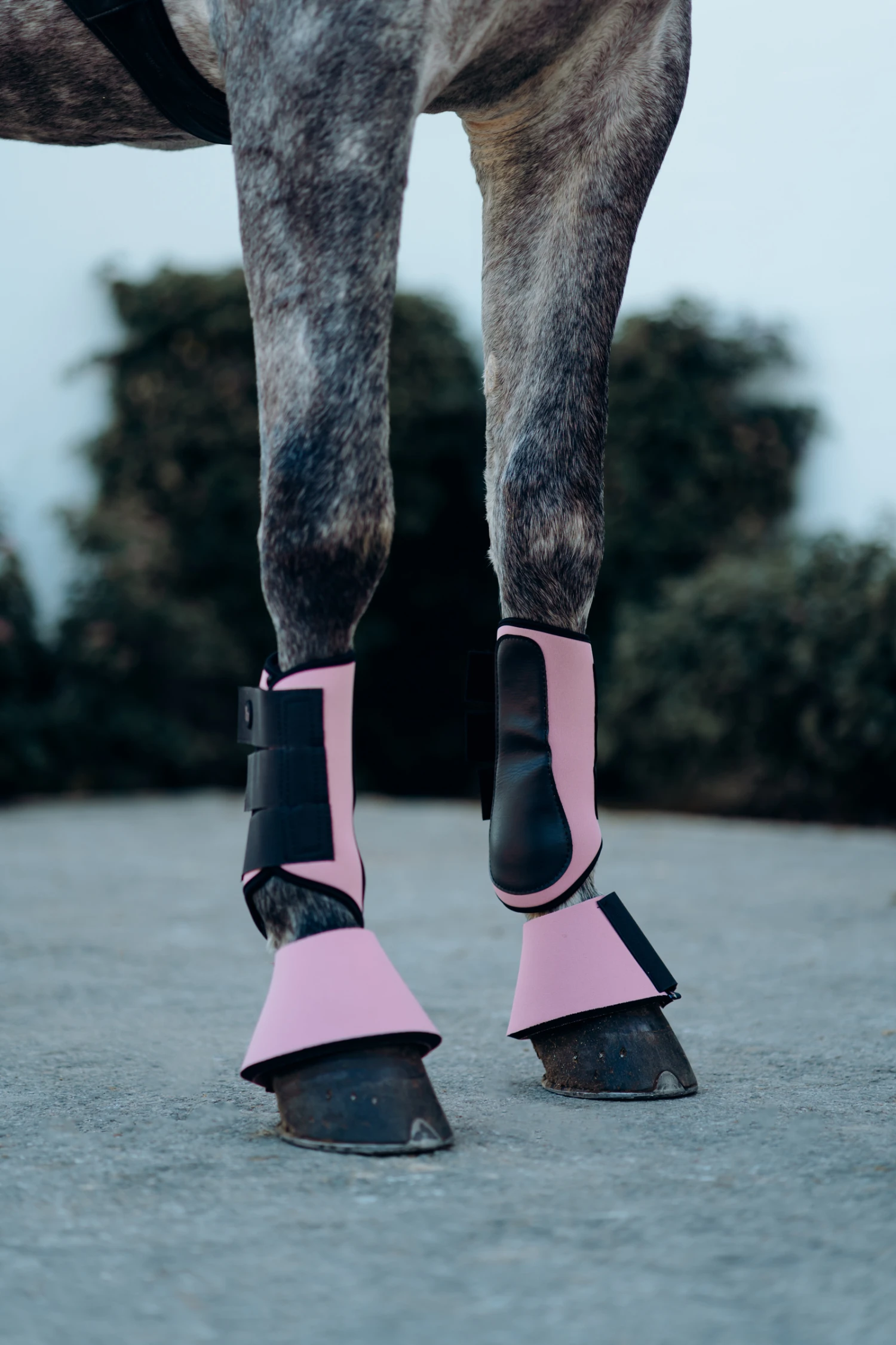 Horze Munich Hufglocken 8 Horze Munich Hufglocken – Bild 8