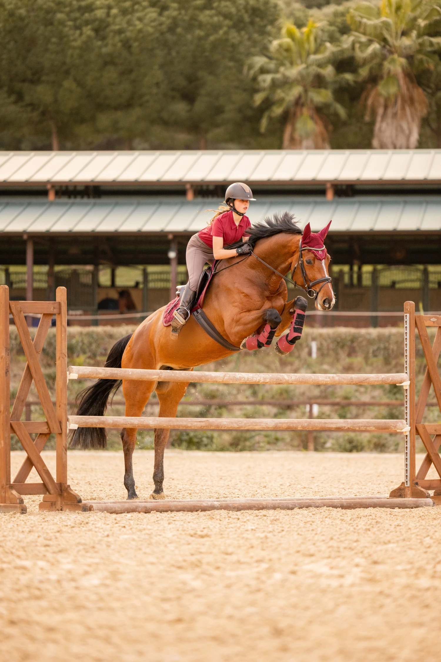 Horze Kenya Fliegenhaube 5 Horze Kenya Fliegenhaube – Bild 5