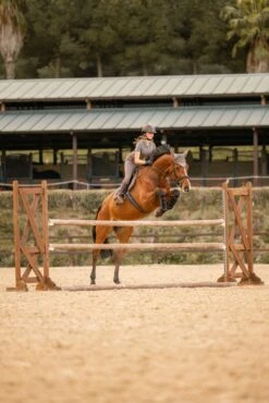 Horze Kenya Fliegenhaube 21 Horze Kenya Fliegenhaube -Reitsportbedarf 22947 753 06