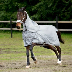 Horze Nevada 600D Regendecke, 0g -Reitsportbedarf 24056 LRG 2