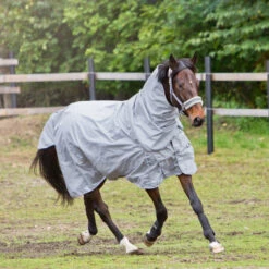 Horze Nevada 600D Regendecke, 0g -Reitsportbedarf 24056 LRG 3