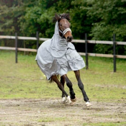 Horze Nevada 600D Regendecke, 0g -Reitsportbedarf 24056 LRG 5