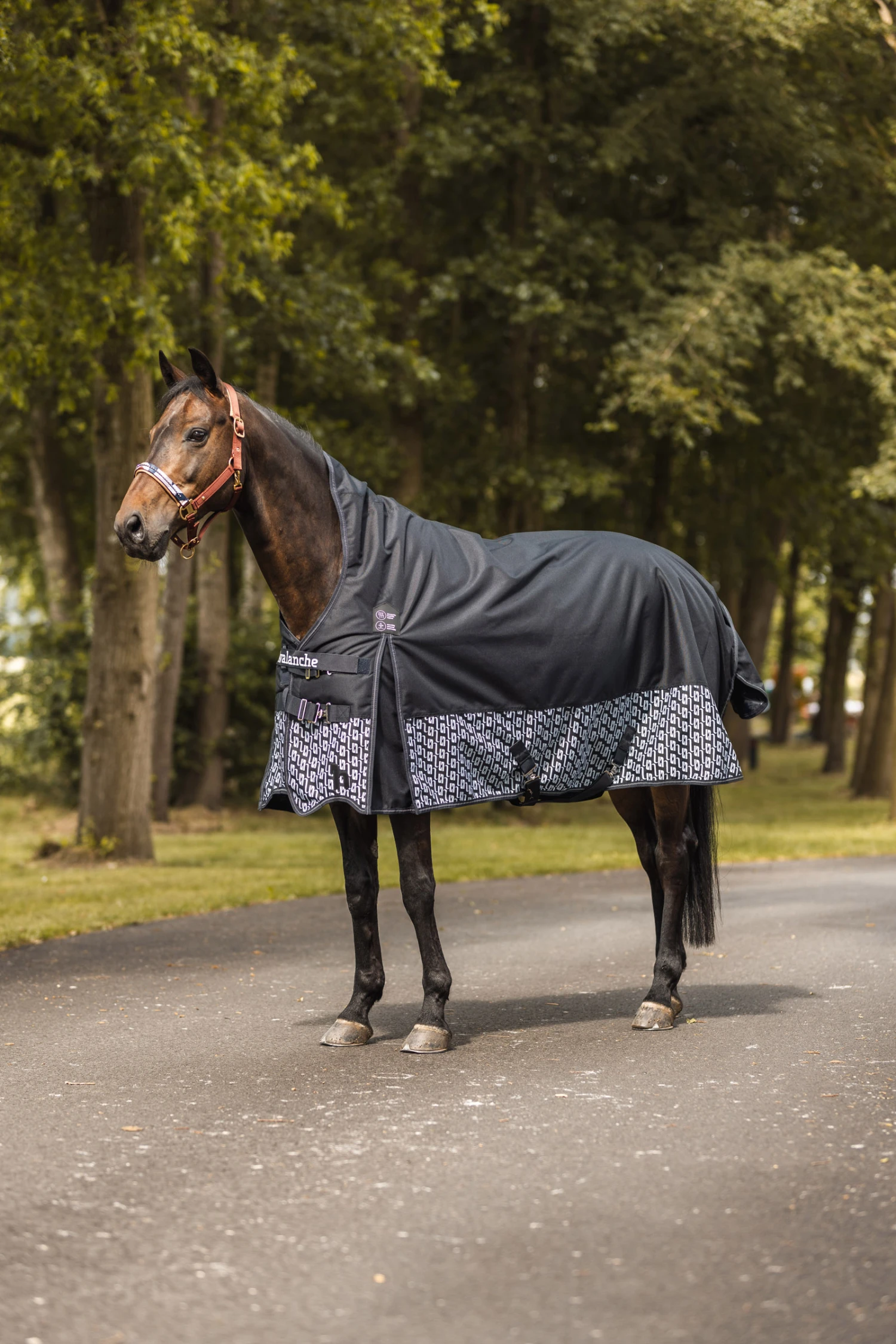 Horze Avalanche High Neck Weidedecke, 150g 15 Horze Avalanche High Neck Weidedecke, 150g – Bild 15