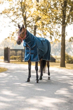 Horze Glasgow Regendecke Mit Halsteil, 150g -Reitsportbedarf 24109 559 06