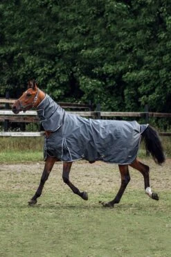 Horze Glasgow Regendecke Mit Halsteil, 400g 29 Horze Glasgow Regendecke Mit Halsteil, 400g -Reitsportbedarf 24111 IGG SLBR 05