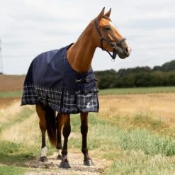 Horze Nevada 1200D Regendecke,100g -Reitsportbedarf 24128 PDB LDGR 1