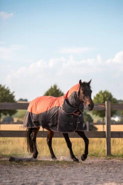 Horze Lucerne Halsteil, 250g 7 Horze Lucerne Halsteil, 250g -Reitsportbedarf 24199 237 04