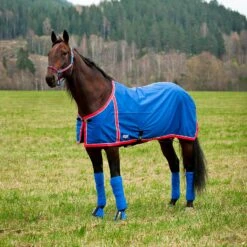 FT Sommerdecke, Enstex -Reitsportbedarf 24370 B RE 1