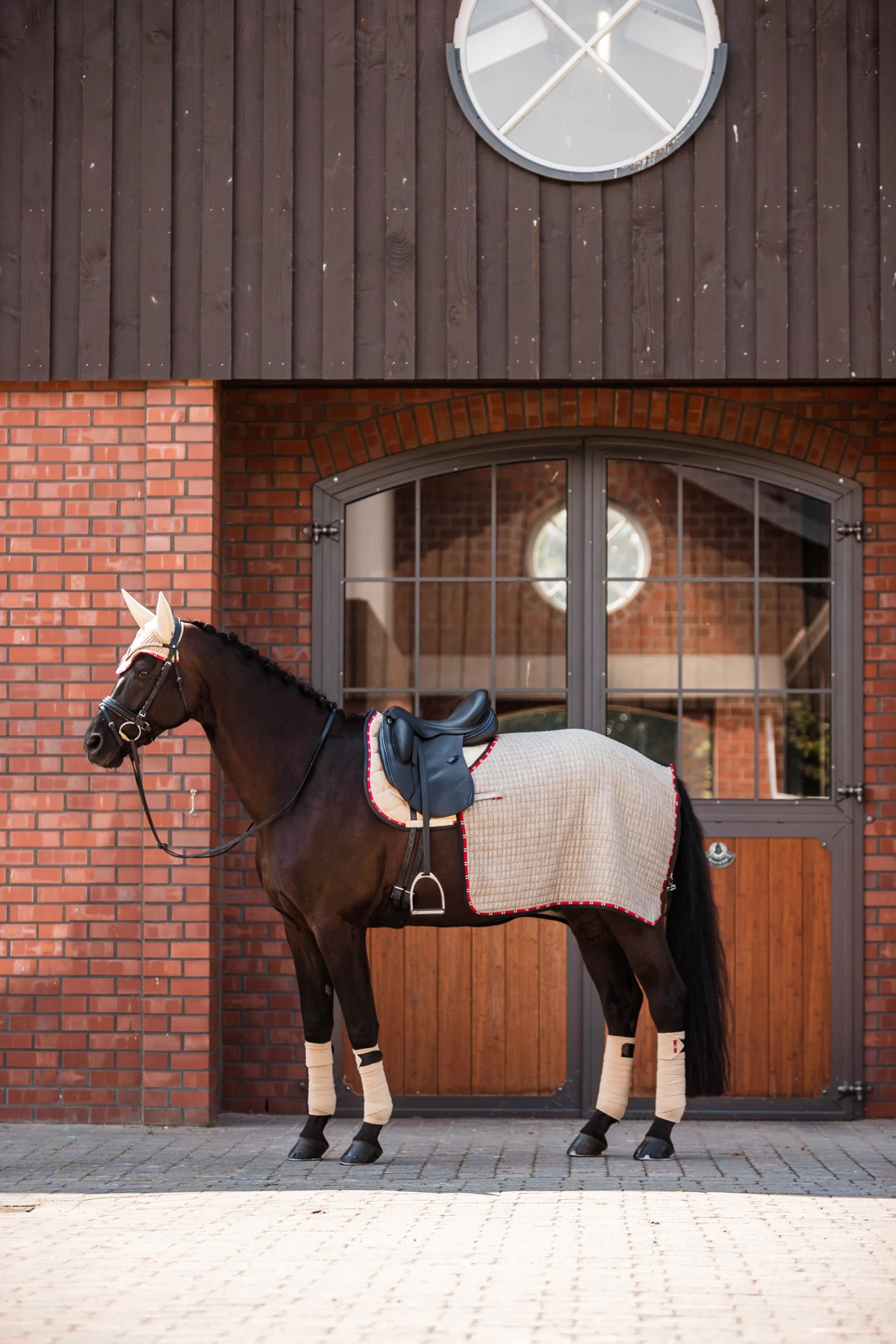 B Vertigo Amory Nierendecke 3 B Vertigo Amory Nierendecke – Bild 3