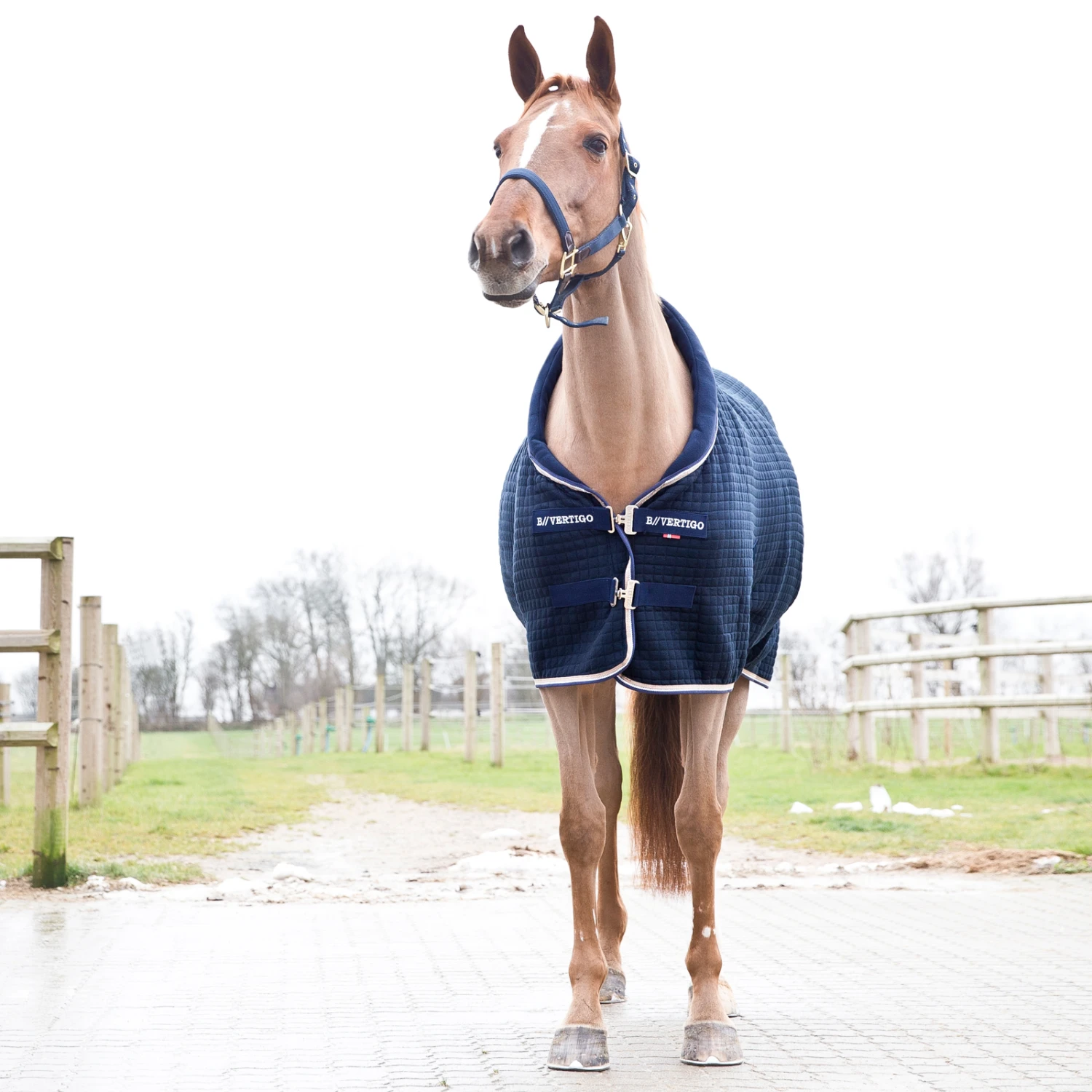 B Vertigo Theo Thermo Abschwitzdecke 2 B Vertigo Theo Thermo Abschwitzdecke – Bild 2