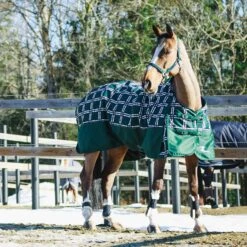 Horze Nevada Winterdecke, 400g 24 Horze Nevada Winterdecke, 400g -Reitsportbedarf 24571 BTGR VDB 2