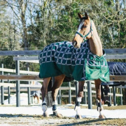 Horze Nevada Mittelschwere Regendecke, 200g -Reitsportbedarf 24574 BTGR VDB 3