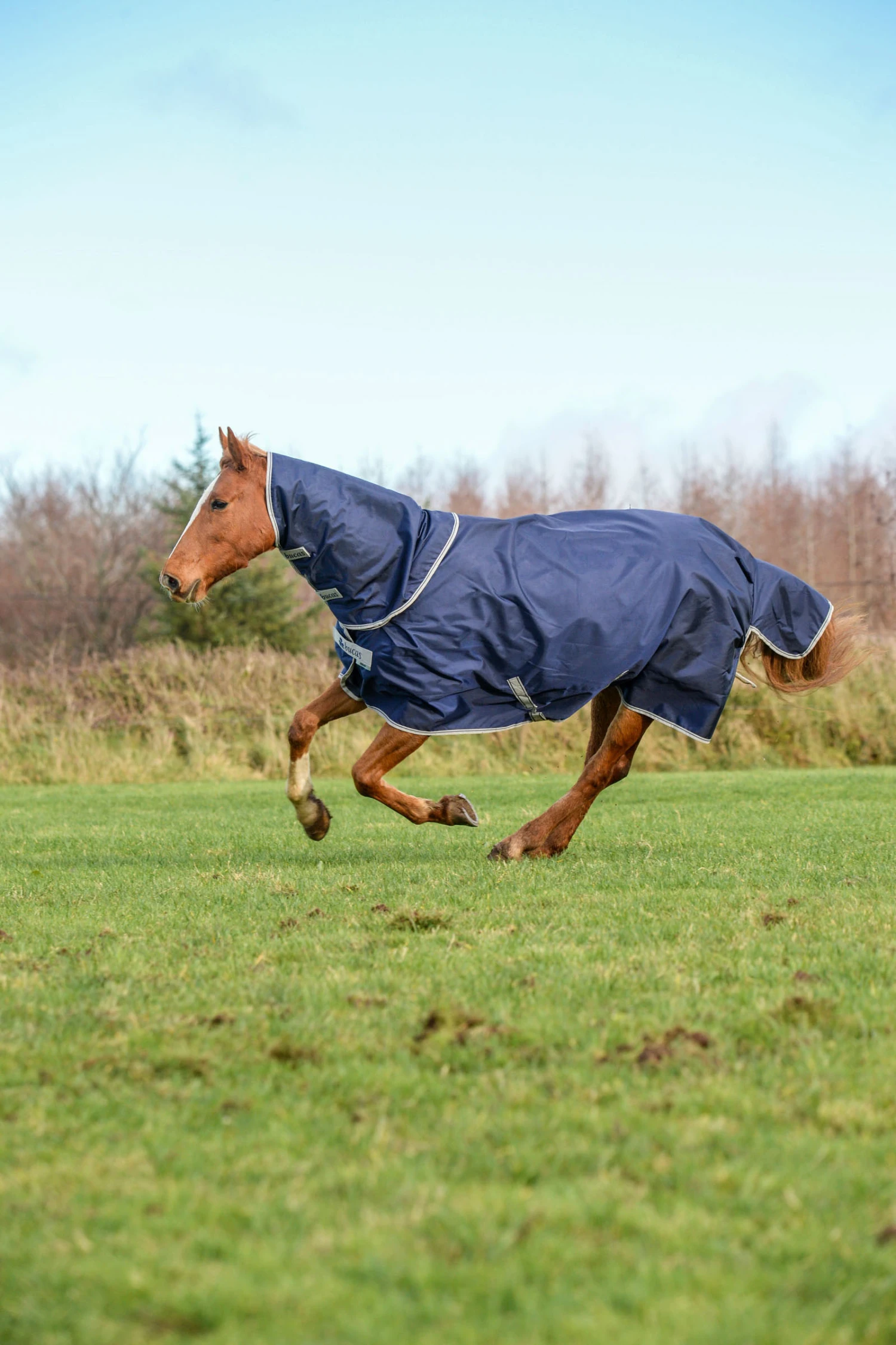 Bucas Atlantic Turnout Big Neck 200g 3 Bucas Atlantic Turnout Big Neck 200g – Bild 3