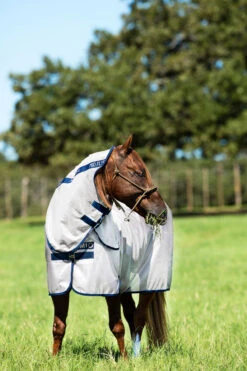Horseware Mio Fliegendecke Mit Festem Halsteil