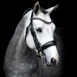 Schockmöhle Venice Anatomische Kandare Mit Kristallen -Reitsportbedarf 313790 BL SI 3