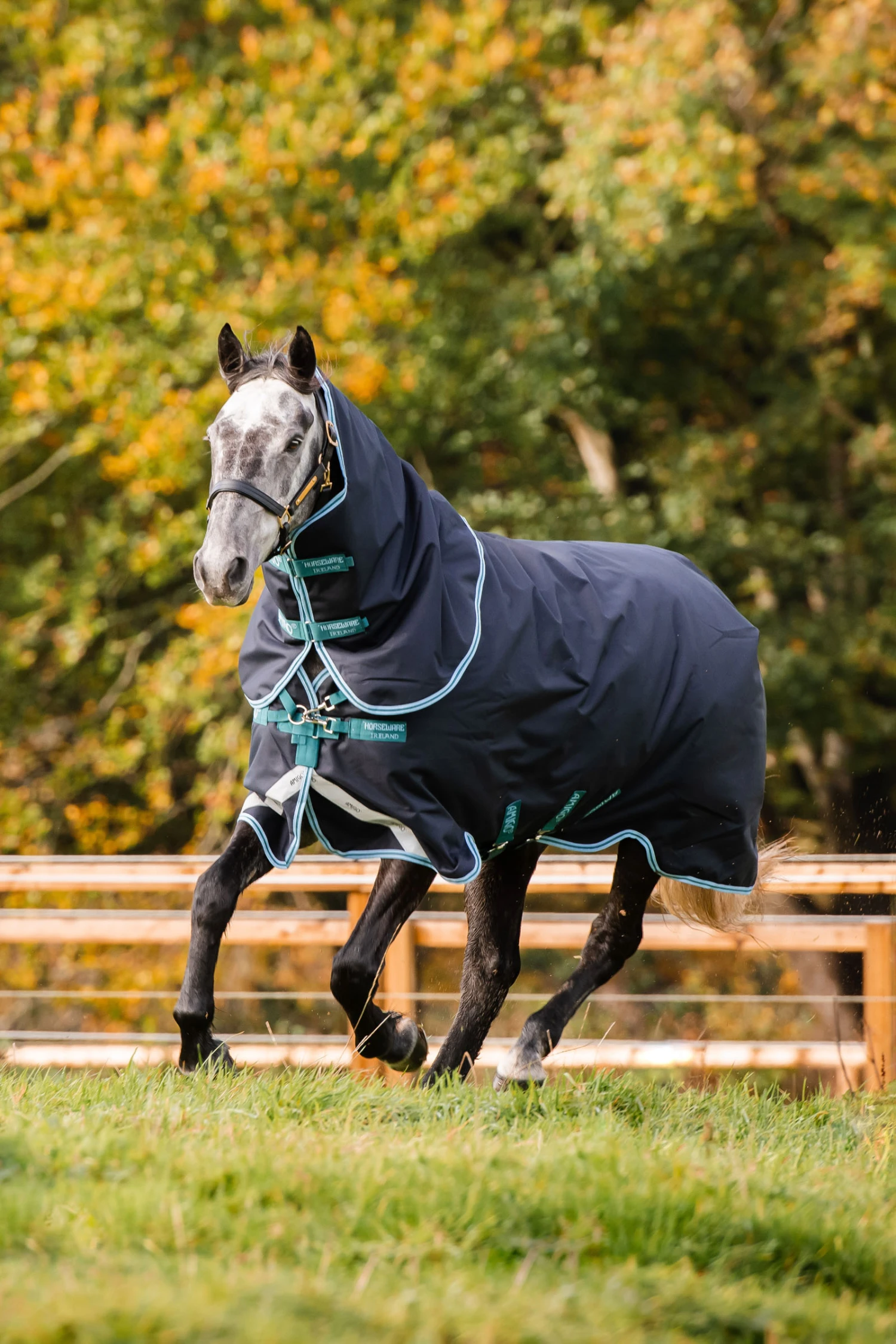 Horseware Amigo Bravo 12 Plus Winterdecke Mit Abnehmbarem Halsteil, 250g 6 Horseware Amigo Bravo 12 Plus Winterdecke Mit Abnehmbarem Halsteil, 250g – Bild 6