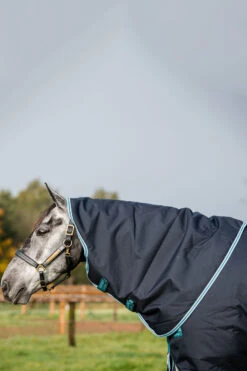 Horseware Amigo Bravo 12 Plus Winterdecke Mit Abnehmbarem Halsteil, 250g 18 Horseware Amigo Bravo 12 Plus Winterdecke Mit Abnehmbarem Halsteil, 250g -Reitsportbedarf 320370 DB AB 4