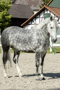 USG Halsring Soft -Reitsportbedarf 322868 BL GR 2