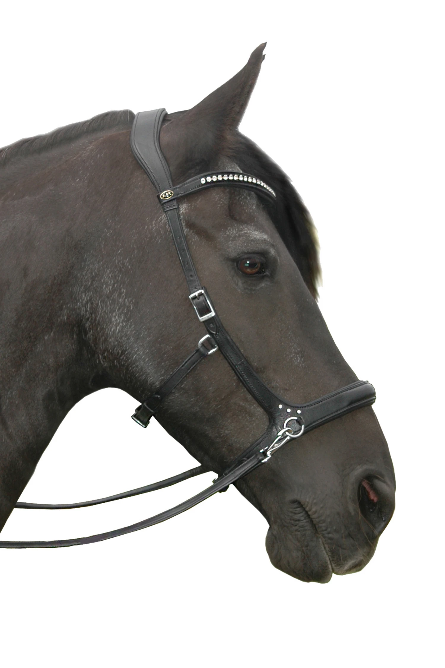 FRA Rebecca Sidepull (System 3) Mit Kristallen 2 FRA Rebecca Sidepull (System 3) Mit Kristallen – Bild 2