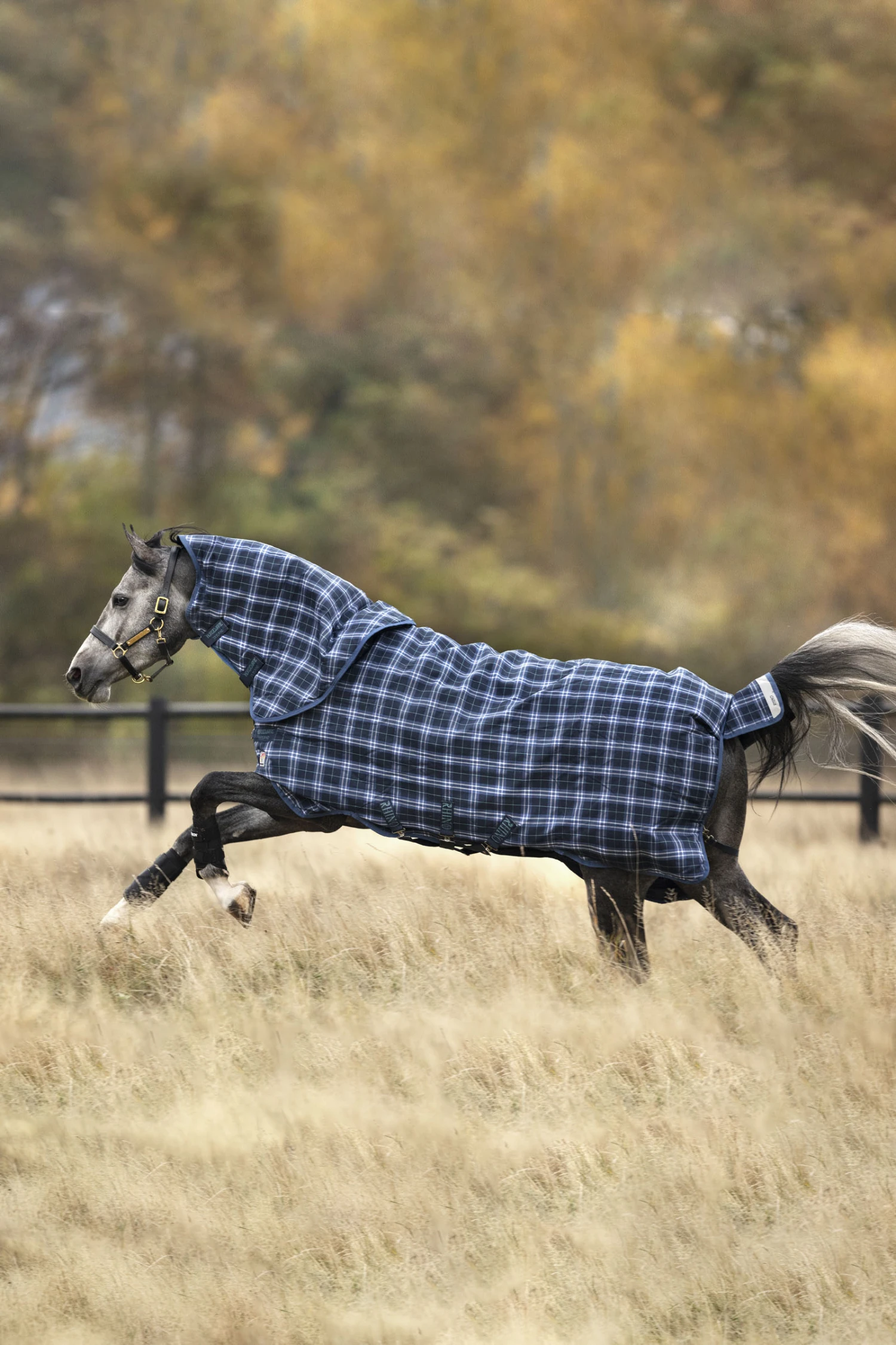 Horseware Rhino Plus Vari-Layer Winterdecke Mit Abnehmbarem Halsteil, 250g 5 Horseware Rhino Plus Vari-Layer Winterdecke Mit Abnehmbarem Halsteil, 250g – Bild 5