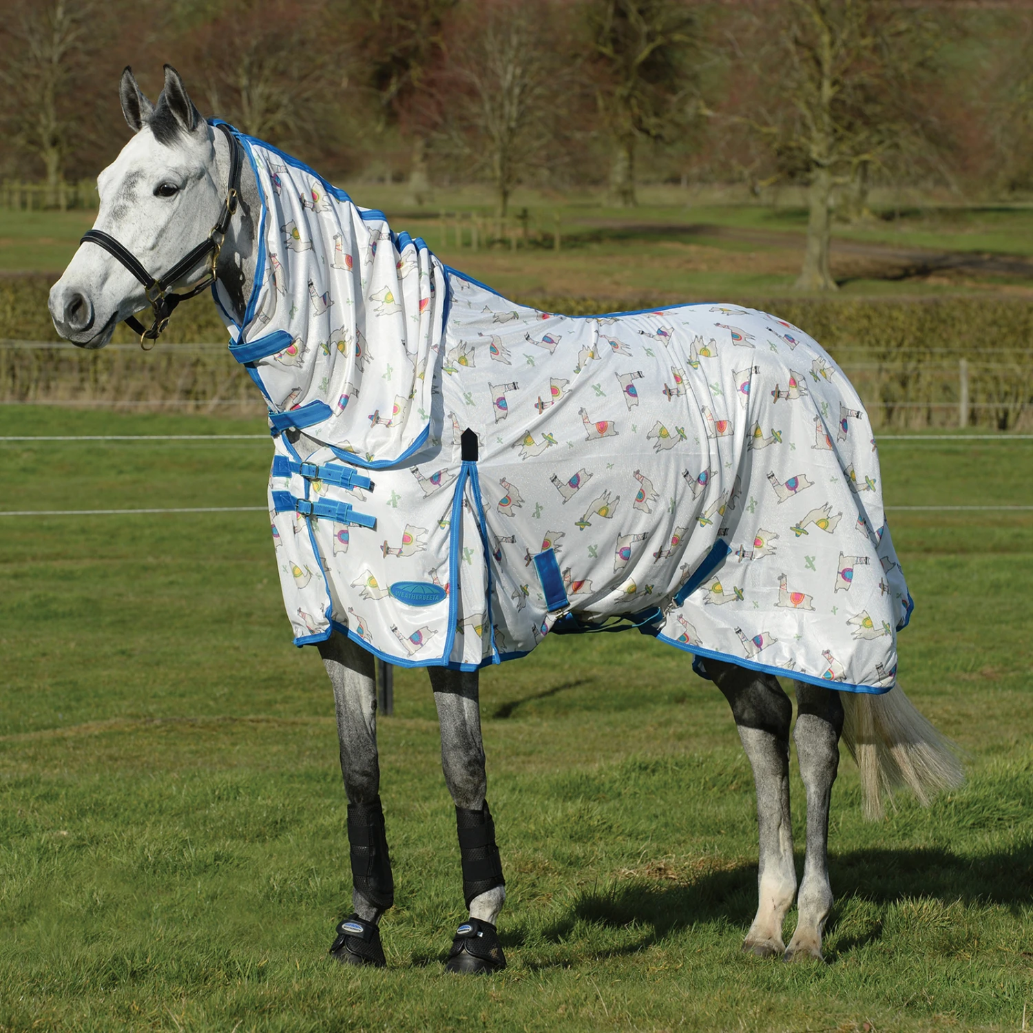 Weatherbeeta Comfitec Essential Mesh II Fliegendecke Mit Festem Halsteil 3 Weatherbeeta Comfitec Essential Mesh II Fliegendecke Mit Festem Halsteil – Bild 3