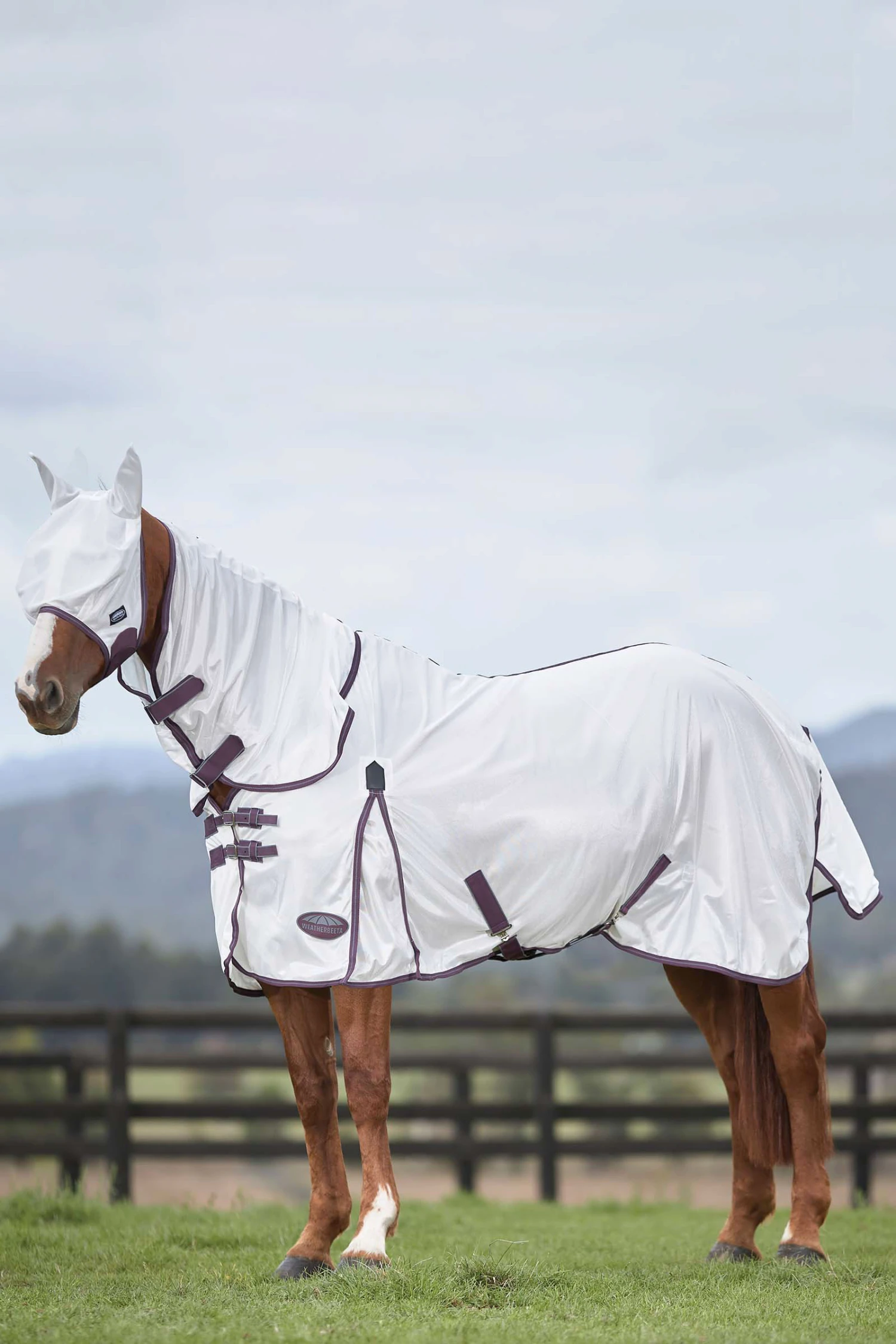 Weatherbeeta Comfitec Essential Mesh II Fliegendecke Mit Festem Halsteil 9 Weatherbeeta Comfitec Essential Mesh II Fliegendecke Mit Festem Halsteil – Bild 9