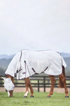 Weatherbeeta Comfitec Essential Mesh II Fliegendecke Mit Festem Halsteil 23 Weatherbeeta Comfitec Essential Mesh II Fliegendecke Mit Festem Halsteil -Reitsportbedarf 329554 WH DRE 2