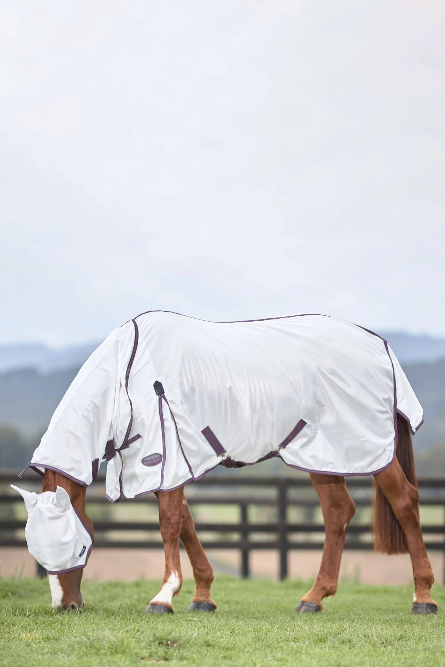 Weatherbeeta Comfitec Essential Mesh II Fliegendecke Mit Festem Halsteil 10 Weatherbeeta Comfitec Essential Mesh II Fliegendecke Mit Festem Halsteil – Bild 10