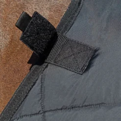 Back On Track Felix Unterdecke, 200g 9 Back On Track Felix Unterdecke, 200g -Reitsportbedarf 331622 BL 5