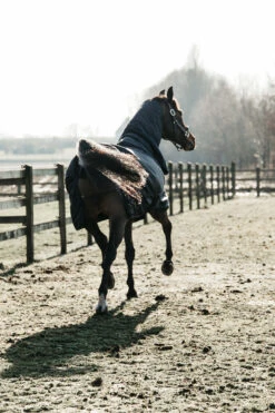 Kentucky Horsewear All Weather Waterproof Classic Regendecke, 50g -Reitsportbedarf 332982 DB 3