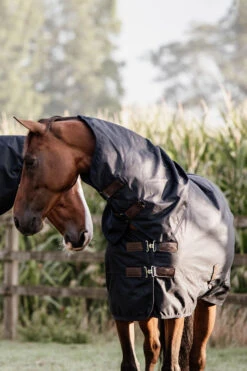 Kentucky Horsewear All Weather Waterproof Classic, Regendecke, 150g -Reitsportbedarf 333287 DB 6