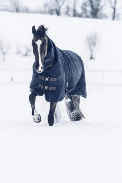 Kentucky Horsewear All Weather Waterproof Classic Winterdecke, 300g 9 Kentucky Horsewear All Weather Waterproof Classic Winterdecke, 300g -Reitsportbedarf 333289 DB 4