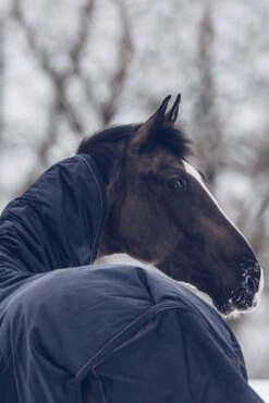 Kentucky Horsewear All Weather Waterproof Classic Winterdecke, 300g 11 Kentucky Horsewear All Weather Waterproof Classic Winterdecke, 300g -Reitsportbedarf 333289 DB 6