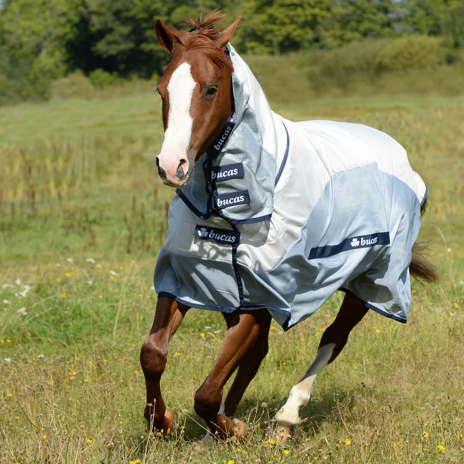 Bucas Buzz-Off Rain Regen-Fliegendecke Mit Abnehmbarem Halsteil 2 Bucas Buzz-Off Rain Regen-Fliegendecke Mit Abnehmbarem Halsteil – Bild 2