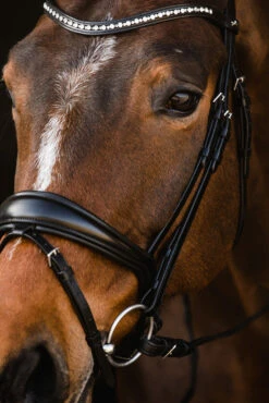 Schockemöhle Brantford Trense -Reitsportbedarf 335283 BL PTG 7