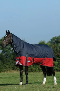 Weatherbeeta Comfitec Plus Dynamic II Weidedecke Mit Integriertem Halsteil, 100g -Reitsportbedarf 335953 BL RE SI 1