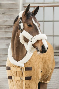 Kentucky Horsewear Velvet Pony Turnierdecke, 160g -Reitsportbedarf 336616 MGO 2