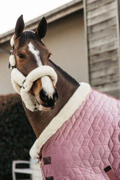 Kentucky Horsewear Velvet Pony Turnierdecke, 160g -Reitsportbedarf 336616 RRPI 3